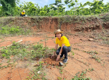 จัดกิจกรรมปลูกต้นไม้ ภายใต้โครงการ &quot;สหกรณ์อาสา ทำความดี ... พารามิเตอร์รูปภาพ 5